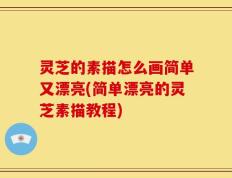灵芝的素描怎么画简单又漂亮(简单漂亮的灵芝素描教程)