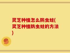 灵芝种植怎么防虫蛀(灵芝种植防虫蛀的方法)