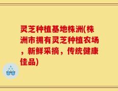 灵芝种植基地株洲(株洲市拥有灵芝种植农场，新鲜采摘，传统健康佳品)