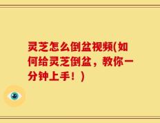灵芝怎么倒盆视频(如何给灵芝倒盆，教你一分钟上手！)