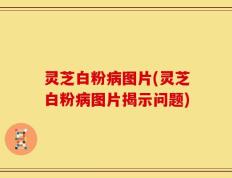 灵芝白粉病图片(灵芝白粉病图片揭示问题)