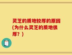 灵芝的质地较厚的原因(为什么灵芝的质地很厚？)
