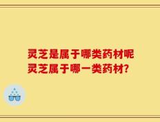 灵芝是属于哪类药材呢灵芝属于哪一类药材？