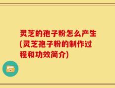 灵芝的孢子粉怎么产生(灵芝孢子粉的制作过程和功效简介)