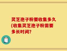 灵芝孢子粉要收集多久(收集灵芝孢子粉需要多长时间？