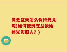 灵芝盆景怎么保持光亮呢(如何使灵芝盆景始终光彩照人？)
