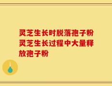 灵芝生长时脱落孢子粉灵芝生长过程中大量释放孢子粉
