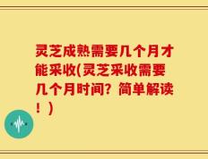 灵芝成熟需要几个月才能采收(灵芝采收需要几个月时间？简单解读！)