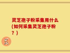 灵芝孢子粉采集用什么(如何采集灵芝孢子粉？)