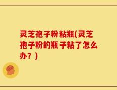 灵芝孢子粉粘瓶(灵芝孢子粉的瓶子粘了怎么办？)