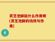 灵芝泡脚起什么作用呢(灵芝泡脚的功效与作用)