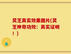 灵芝真实效果图片(灵芝神奇功效：真实证明！)