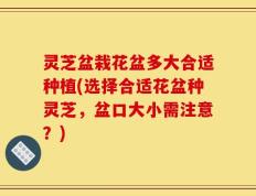 灵芝盆栽花盆多大合适种植(选择合适花盆种灵芝，盆口大小需注意？)