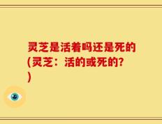 灵芝是活着吗还是死的(灵芝：活的或死的？)