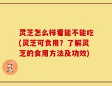 灵芝怎么样看能不能吃(灵芝可食用？了解灵芝的食用方法及功效)
