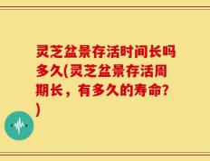 灵芝盆景存活时间长吗多久(灵芝盆景存活周期长，有多久的寿命？)