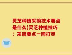 灵芝种植采摘技术要点是什么(灵芝种植技巧：采摘要点一网打尽