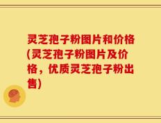 灵芝孢子粉图片和价格(灵芝孢子粉图片及价格，优质灵芝孢子粉出售)