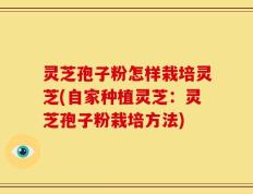 灵芝孢子粉怎样栽培灵芝(自家种植灵芝：灵芝孢子粉栽培方法)