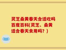 灵芝桑黄春天合适吃吗百度百科(灵芝、桑黄适合春天食用吗？)
