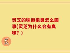 灵芝的味道很臭怎么回事(灵芝为什么会有臭味？)