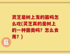 灵芝是树上发的菌吗怎么吃(灵芝真的是树上的一种菌类吗？怎么食用？)
