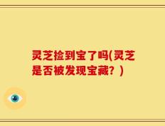 灵芝捡到宝了吗(灵芝是否被发现宝藏？)