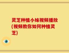 灵芝种植小妹视频播放(视频教你如何种植灵芝)