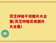 灵芝种植干货图片大全集(灵芝种植实用图片大合集)