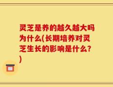灵芝是养的越久越大吗为什么(长期培养对灵芝生长的影响是什么？)