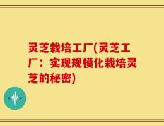 灵芝栽培工厂(灵芝工厂：实现规模化栽培灵芝的秘密)