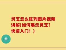 灵芝怎么陈列图片视频讲解(如何展示灵芝？快速入门！)