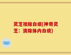 灵芝祛除白痰(神奇灵芝：清除体内白痰)