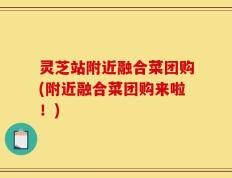 灵芝站附近融合菜团购(附近融合菜团购来啦！)