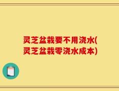 灵芝盆栽要不用浇水(灵芝盆栽零浇水成本)