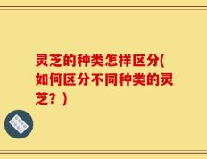 灵芝的种类怎样区分(如何区分不同种类的灵芝？)