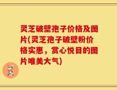 灵芝破壁孢子价格及图片(灵芝孢子破壁粉价格实惠，赏心悦目的图片唯美大气)