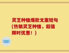 灵芝种植爆款文案短句(热销灵芝种植，超值限时优惠！)