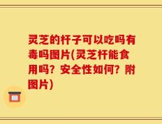 灵芝的杆子可以吃吗有毒吗图片(灵芝杆能食用吗？安全性如何？附图片)
