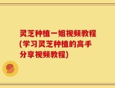 灵芝种植一姐视频教程(学习灵芝种植的高手分享视频教程)