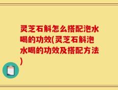 灵芝石斛怎么搭配泡水喝的功效(灵芝石斛泡水喝的功效及搭配方法)