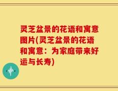 灵芝盆景的花语和寓意图片(灵芝盆景的花语和寓意：为家庭带来好运与长寿)