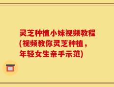 灵芝种植小妹视频教程(视频教你灵芝种植，年轻女生亲手示范)