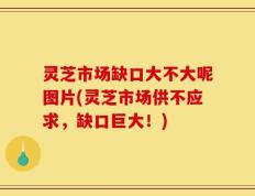 灵芝市场缺口大不大呢图片(灵芝市场供不应求，缺口巨大！)