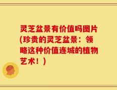 灵芝盆景有价值吗图片(珍贵的灵芝盆景：领略这种价值连城的植物艺术！)