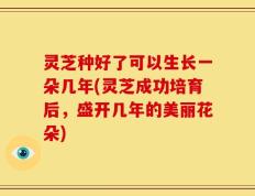 灵芝种好了可以生长一朵几年(灵芝成功培育后，盛开几年的美丽花朵)