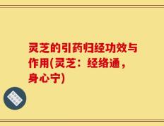 灵芝的引药归经功效与作用(灵芝：经络通，身心宁)