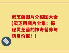 灵芝菌图片介绍图大全(灵芝菌图片全集：探秘灵芝菌的神奇营养与药用价值！)