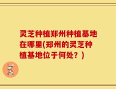 灵芝种植郑州种植基地在哪里(郑州的灵芝种植基地位于何处？)