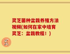 灵芝菌种盆栽养殖方法视频(如何在家中培育灵芝：盆栽教程！)